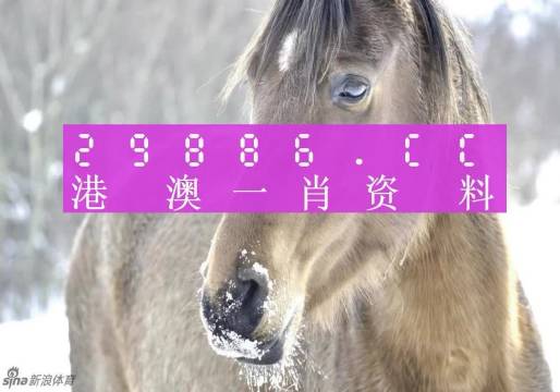 澳門平特一肖100%準(zhǔn)確嗎,理論分析解析說(shuō)明_OP29.275