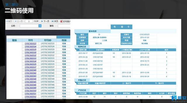 2024澳門今晚開特馬開什么,精細執(zhí)行計劃_3DM61.80