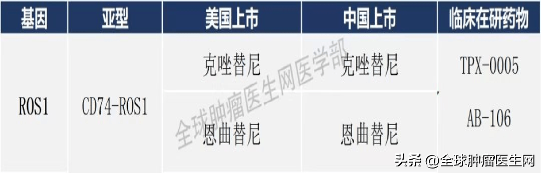 靶向藥2023價(jià)格一覽表,實(shí)地計(jì)劃驗(yàn)證策略_Z78.763