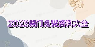 2023年正版資料免費大全,詳細說明解答步驟_優(yōu)雅版11.325