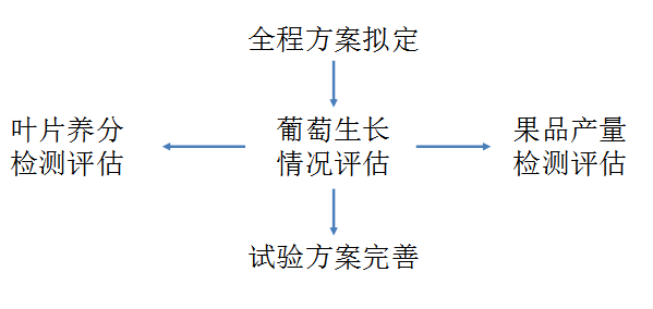 2024新奧歷史開獎(jiǎng)記錄香港,可行性方案評(píng)估_復(fù)原版33.716