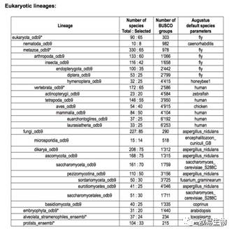 2024新澳免費(fèi)資料成語平特,安全評估策略_白銀版27.509